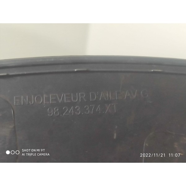 Moldura Lateral Cactus Traseira E 2018/2024 98222040 /22776