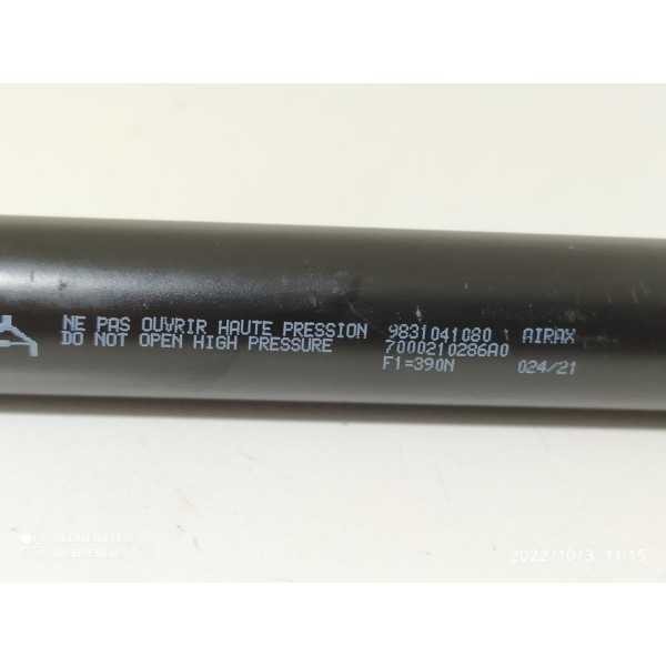 Amortecedor Tampa Traseira Peugeot 208 2020/2023 Orig /21087