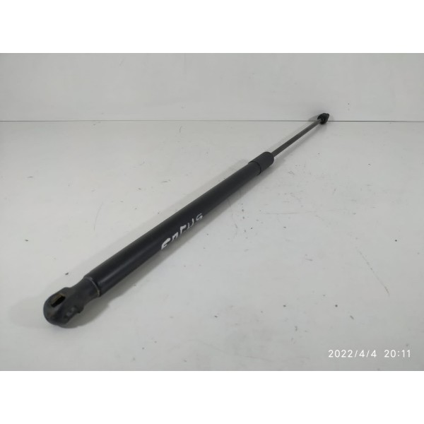 Amortecedor Tampa Traseira Focus Hatch 2014 2019 / 13613