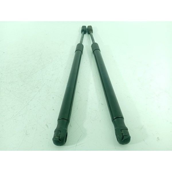Amortecedor Capo Bmw X5 X6 2014 2015 2016/2018 51237294524