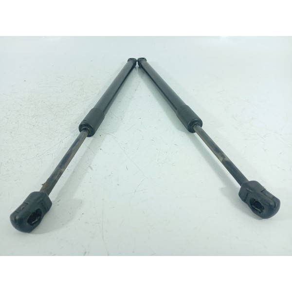 Amortecedor Capo Bmw X5 X6 2014 2015 2016/2018 51237294524