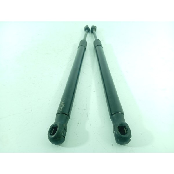 Amortecedor Capo Bmw X5 X6 2014 2015 2016/2018 51237294524