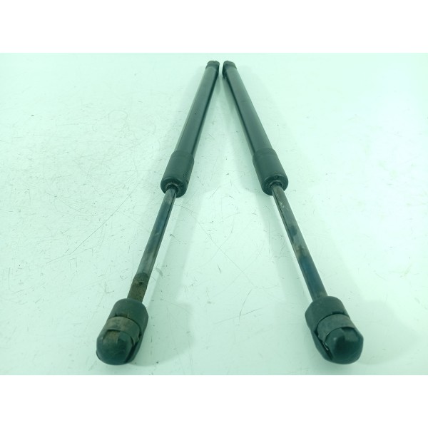 Amortecedor Capo Bmw X5 X6 2014 2015 2016/2018 51237294524