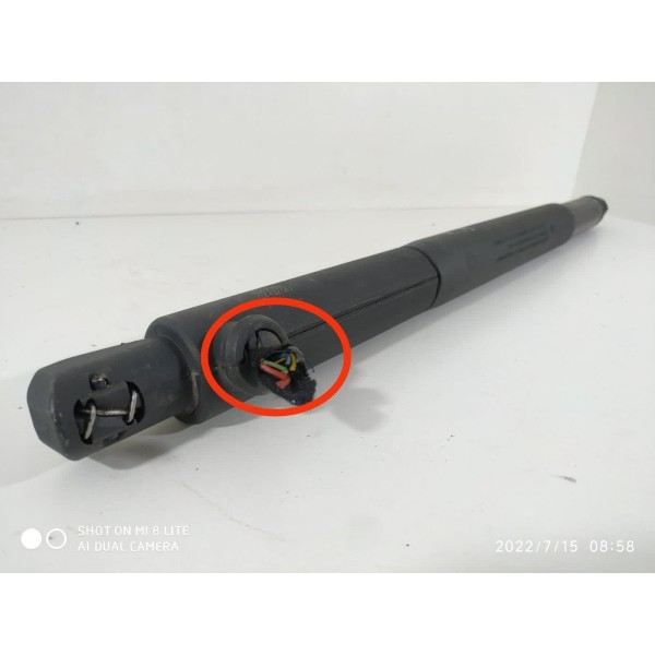 Amortecedor Tampa Traseira Bmw X6 2011/16 728611702 Det