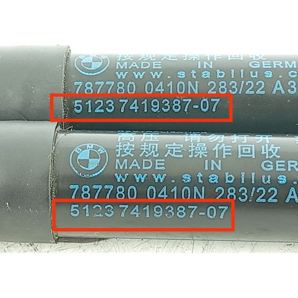 Par Amortecedor Capo Bmw 320 330 G20 2019/2025 5123741938707