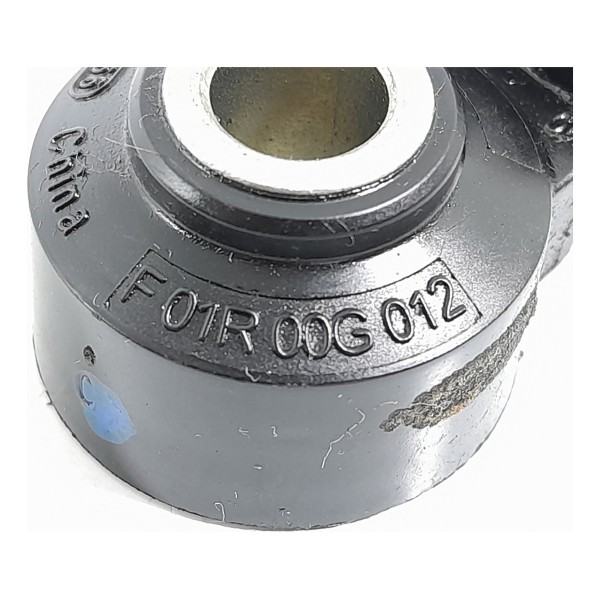 Sensor Detonacao Ford Territory 1.5 2021/2025 F01r00g012