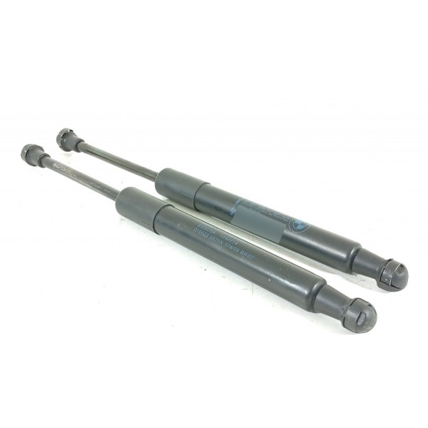 Amortecedor Tampa Traseira Bmw Z4 2009/2016 7191255