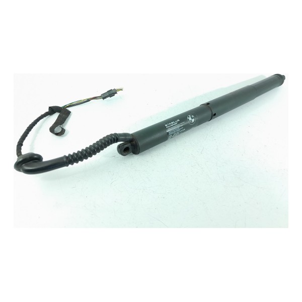 Amortecedor Tampa Tras Bmw X5 Eletrico Esq 2014/2018 7294469