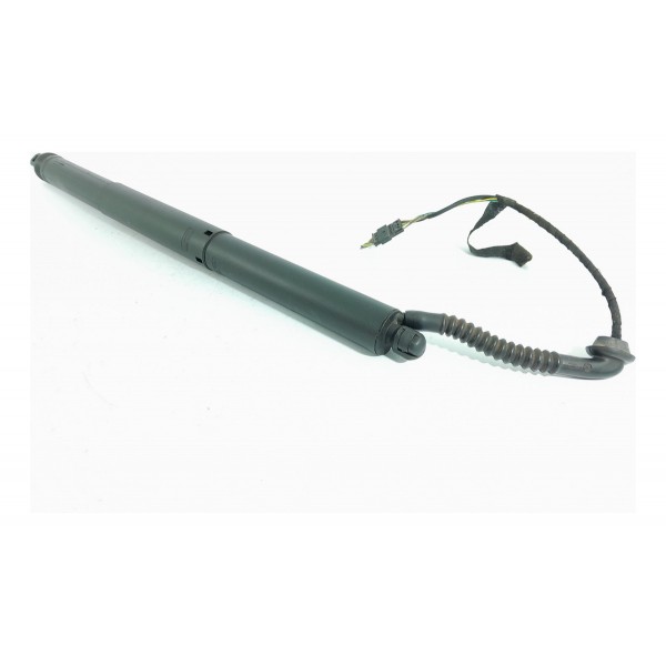 Amortecedor Tampa Tras Bmw X5 Eletrico Esq 2014/2018 7294469