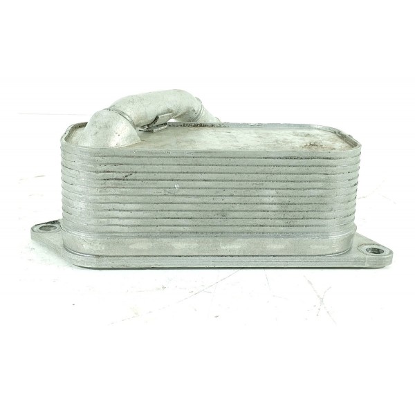 Trocador Calor Bmw X3 X4 2015/2018 7525333