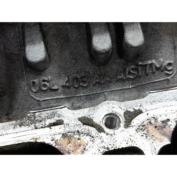 Cabecote Audi Q5 A4 A5 Golf 2.0 252cv 2020 06l403aa