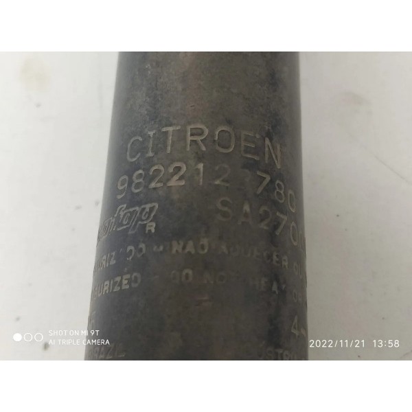 Par Amortecedor Cactus 2018/2024 Traseiros 9822123780