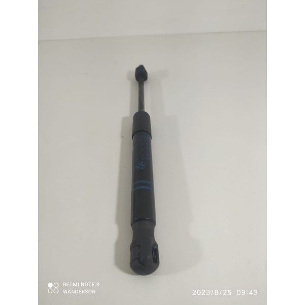 Amortecedor Capo Bmw 320i 328 328gt 2013/2018 512372392306